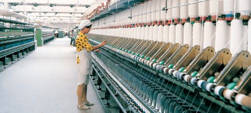 棉花發(fā)展簡史 作物的價(jià)值和可持續(xù)的意義