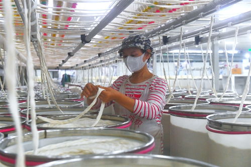 降本增效促發展