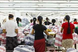 速遞 要火 泗縣被省里看中,獲批開展這項(xiàng)工作 草溝鎮(zhèn)積極謀劃2019年度鄉(xiāng)村振興重點(diǎn)項(xiàng)目