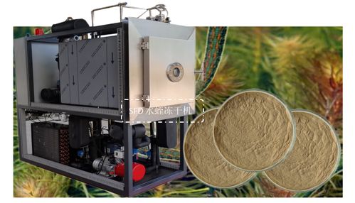 生物制品凍干機在水蛭凍干粉加工中的應(yīng)用