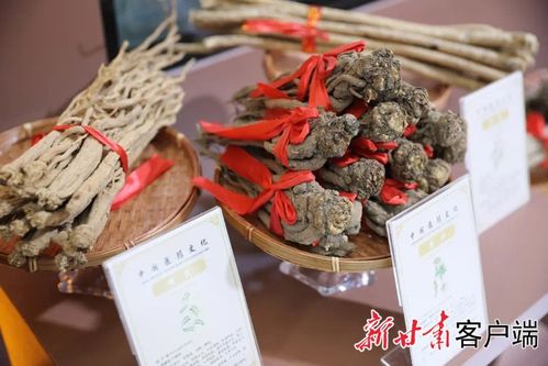 先睹為快 | 第三十屆蘭洽會生物醫藥館布展工作圓滿完成，生物制品領域亮點紛呈